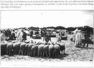 SBA LE MARCHE 06
